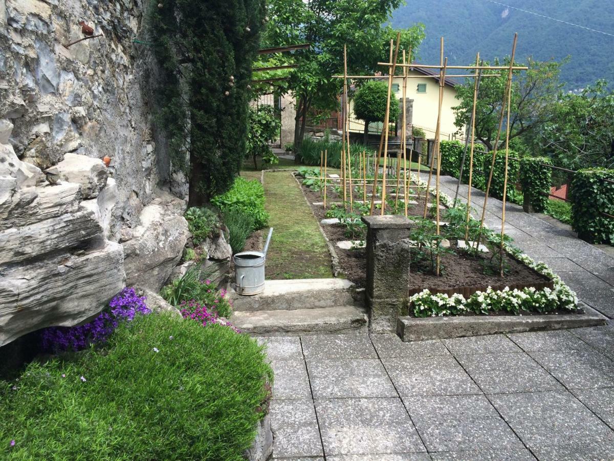 Villa Albonico Laglio Exterior foto